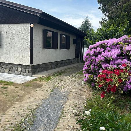 Chata Na Leto Nespeky Exteriör bild